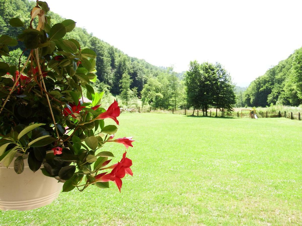 ホテル Casa Din Vale Sacuieu エクステリア 写真